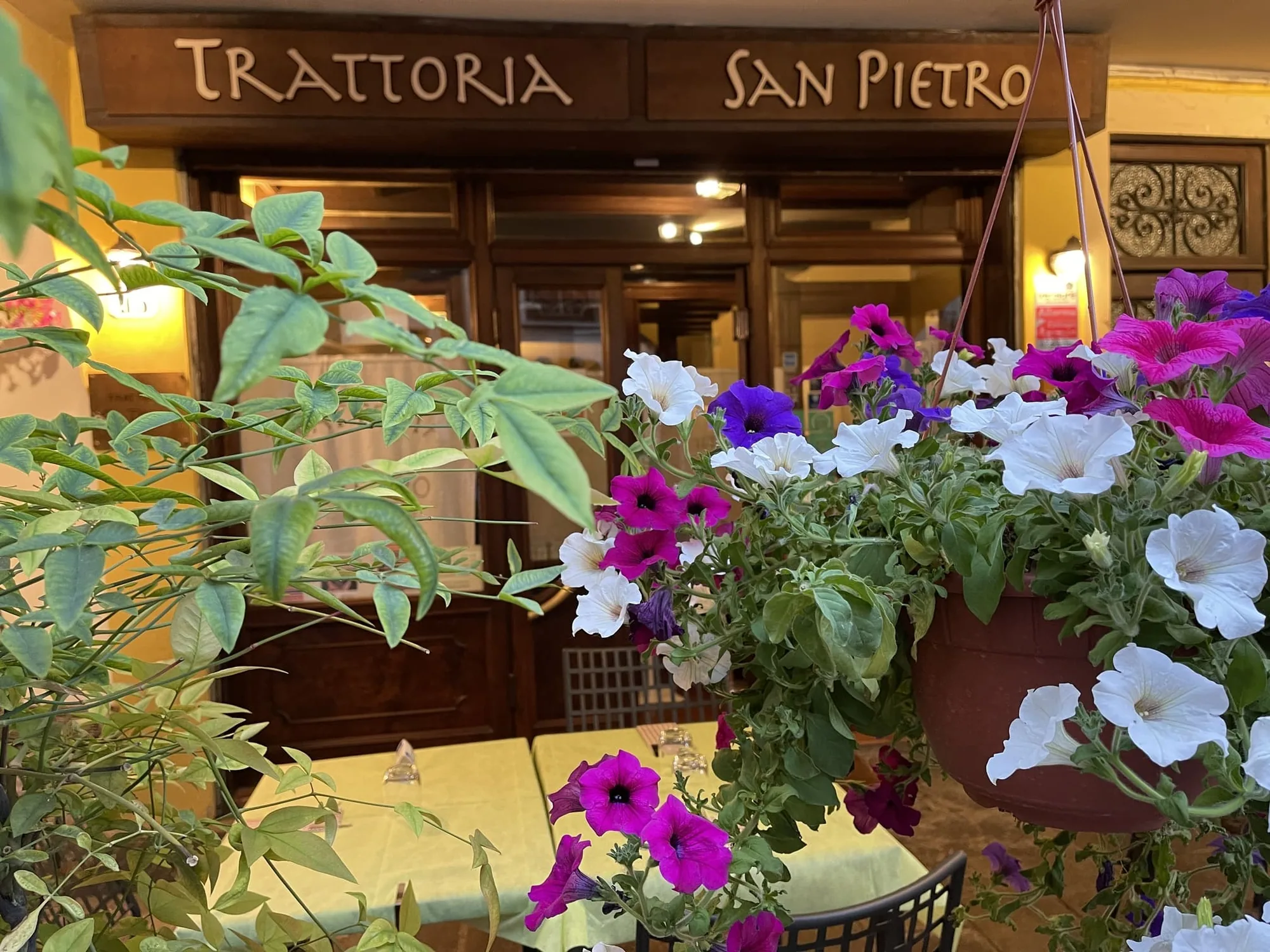 Trattoria San Pietro Padova - Via San Pietro, 95